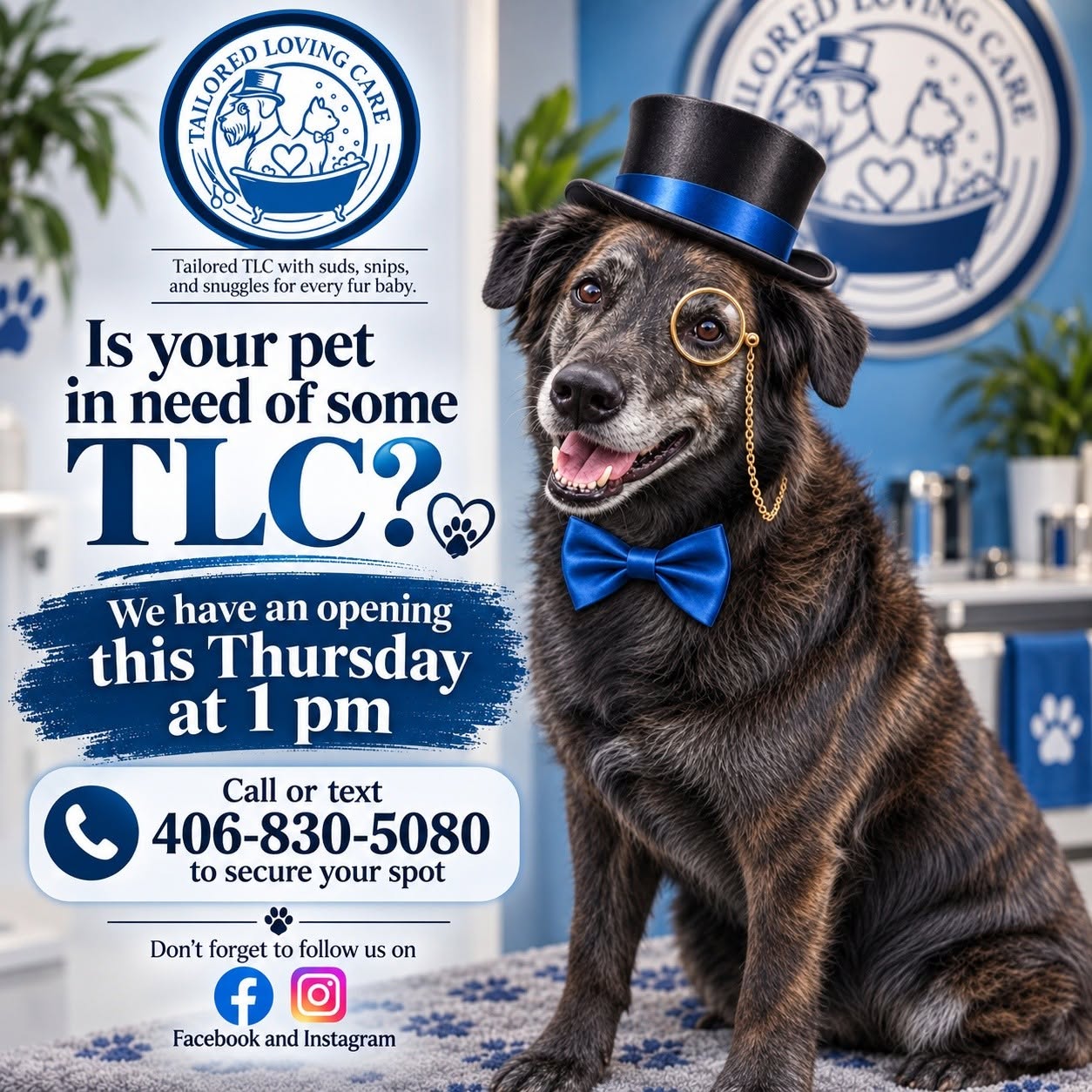 Tailored Loving Care grooming client
